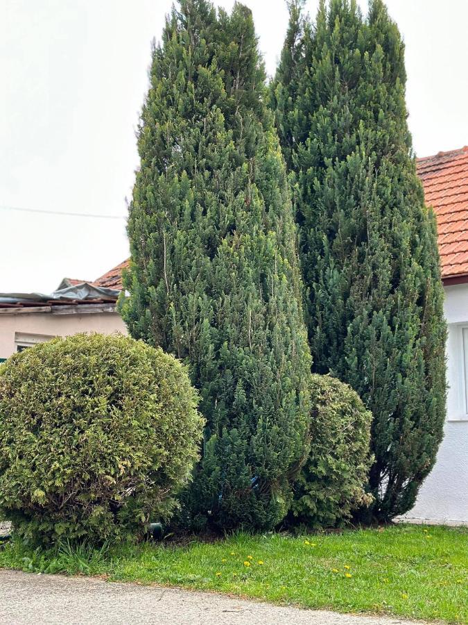 Apartmani Emily & Jully Nikšić Екстериор снимка